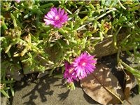 ec1c17d9-Picture 6615.jpg